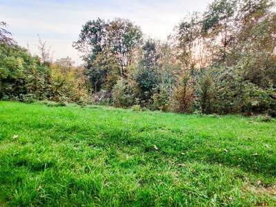 Grundstück kaufen in 4650 Lambach (Bild 2)