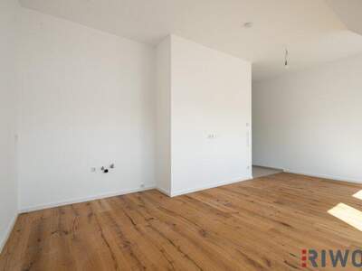 Terrassenwohnung kaufen in 1230 Wien (Bild 4)