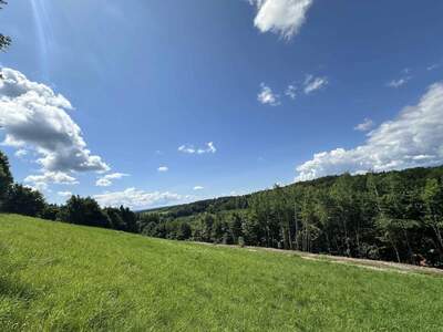 Grundstück kaufen in 8502 Lannach (Bild 5)