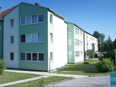 Wohnung mieten in 3871 Alt