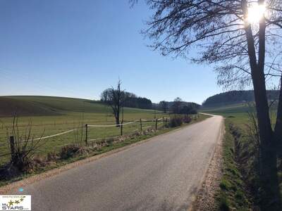 Gewerbeobjekt kaufen in 4941 Mehrnbach (Bild 3)