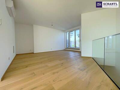 Terrassenwohnung kaufen in 1030 Wien (Bild 2)