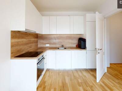 Anlageobjekt kaufen in 2700 Wiener Neustadt (Bild 1)