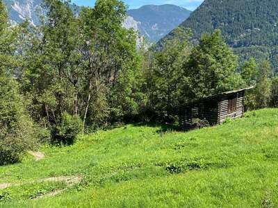 Gewerbeobjekt kaufen in 6432 Sautens (Bild 3)