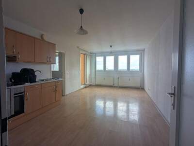 Terrassenwohnung mieten in 1220 Wien (Bild 3)