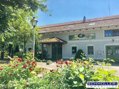 Haus kaufen in 4623 Gunskirchen