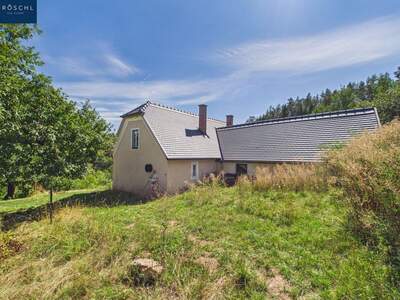 Haus mit Garten kaufen in 3844 Waldkirchen (Bild 3)