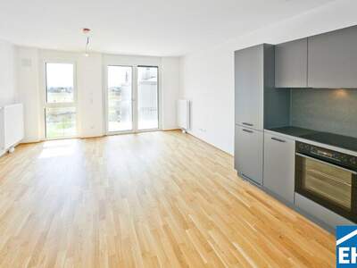 Terrassenwohnung mieten in 1220 Wien (Bild 1)