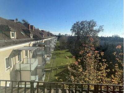 Wohnung mieten in 4020 Linz (Bild 4)