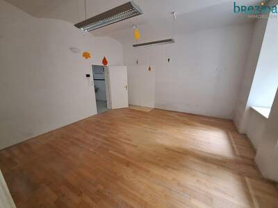 Gewerbeobjekt mieten in 1060 Wien (Bild 2)