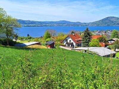 Grundstück kaufen in 4852 Weyregg (Bild 2)