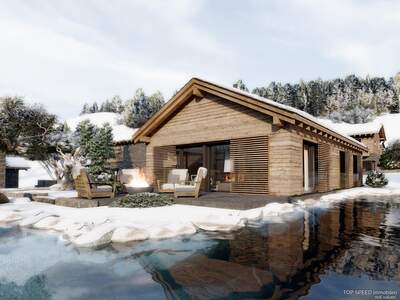 Chalet kaufen in 8973 Pichl (Bild 2)