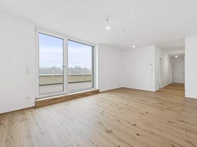 Terrassenwohnung kaufen in 2540 Bad Vöslau (Bild 3)