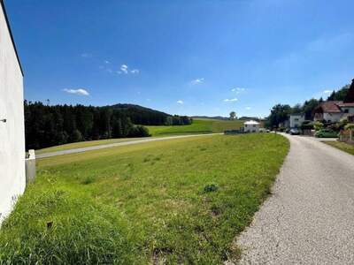 Grundstück kaufen in 4240 Waldburg