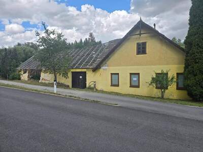 Haus provisionsfrei kaufen in 3844 Waldkirchen