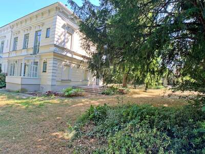 Haus mieten in 2340 Mödling (Bild 2)