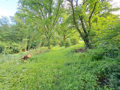 Gewerbeobjekt kaufen in 8582 Rosental (Bild 4)