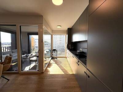 Wohnung mieten in 4060 Leonding