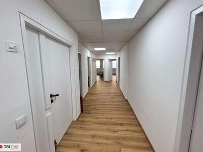 Gewerbeobjekt mieten in 1150 Wien (Bild 5)