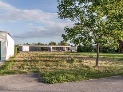 Grundstück kaufen in 7100 Neusiedl