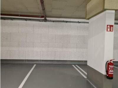 Halle / Lager / Produktion mieten in 1220 Wien (Bild 3)