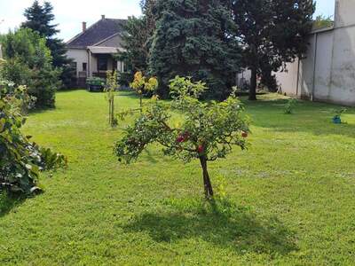 Haus mit Garten kaufen in 7011 Siegendorf (Bild 1)