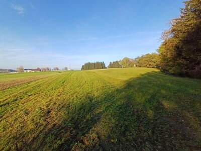 Gewerbeobjekt kaufen in 4941 Mehrnbach (Bild 3)