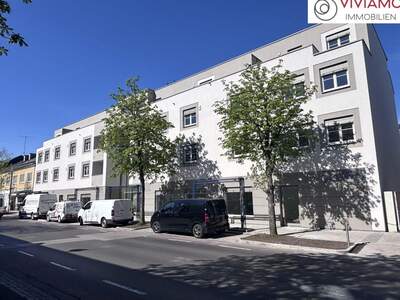 Wohnung mieten in 4600 Wels (Bild 1)