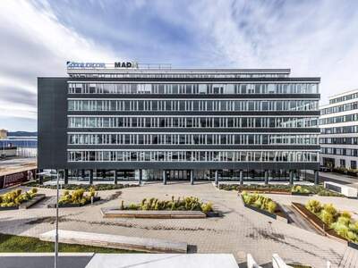 Gewerbeobjekt mieten in 1230 Wien