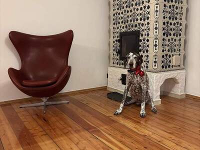 Haus kaufen in 1090 Wien