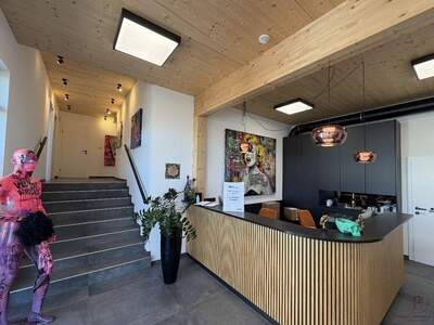 Gewerbeobjekt kaufen in 8230 Hartberg (Bild 2)