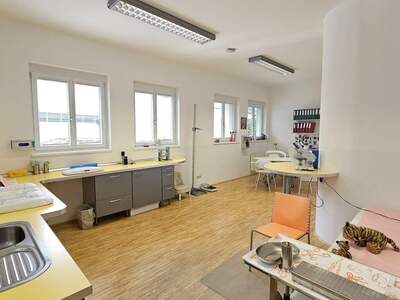 Gewerbeobjekt kaufen in 9800 Spittal (Bild 4)