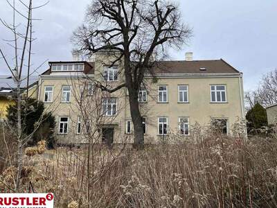 Haus kaufen in 2460 Bruck an der Leitha (Bild 4)