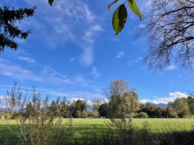 Grundstück kaufen in 6890 Lustenau