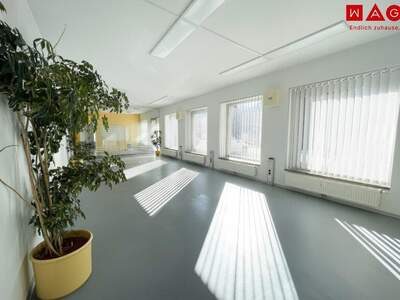 Büro / Praxis mieten in 8790 Eisenerz (Bild 1)