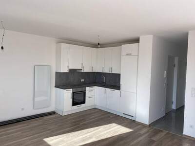 Wohnung mieten in 3452 Hankenfeld