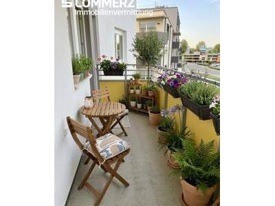 Wohnung mieten in 2700 Wiener Neustadt