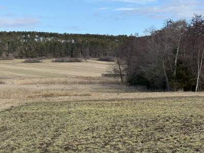 Gewerbeobjekt kaufen in 2753 Dreistetten