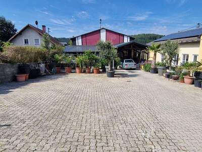 Haus kaufen in 4144 Oberkappel