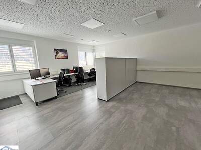 Gewerbeobjekt mieten in 6166 Fulpmes (Bild 2)