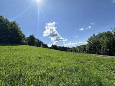 Grundstück kaufen in 8502 Lannach (Bild 1)