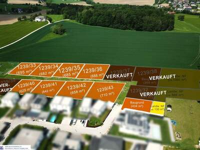 Grundstück kaufen in 4223 Katsdorf (Bild 3)