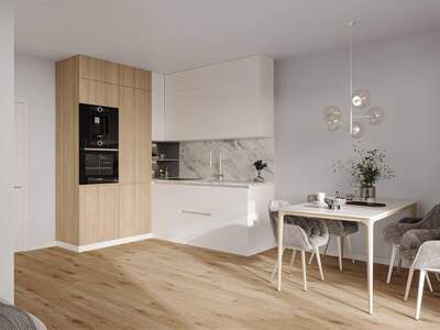 Anlageobjekt kaufen in 8055 Graz