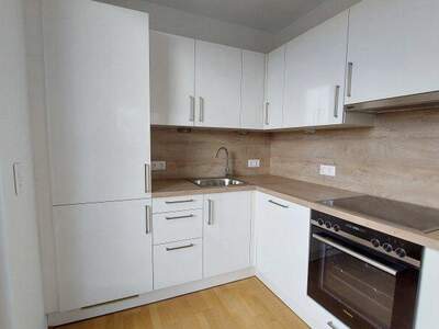 Terrassenwohnung mieten in 1210 Wien (Bild 1)