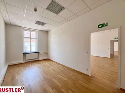 Gewerbeobjekt mieten in 2340 Mödling (Bild 3)