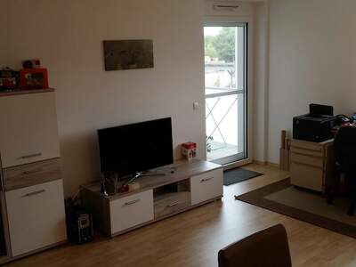 Apartment provisionsfrei mieten in 7122 Gols