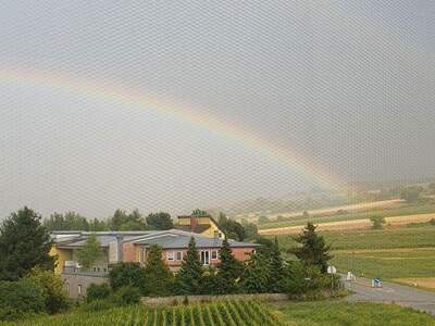 Wohnung kaufen in 3441 Judenau (Bild 3)