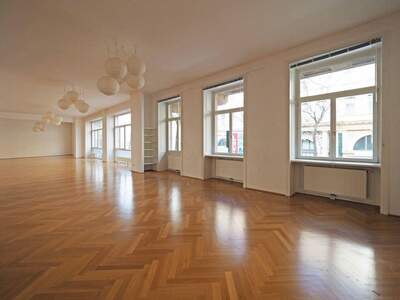 Gewerbeobjekt mieten in 1060 Wien (Bild 3)