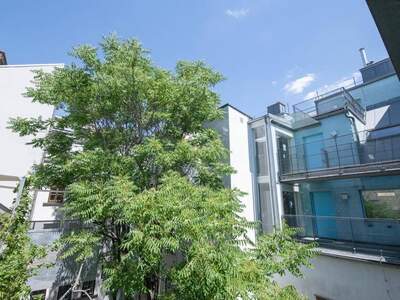 Mietwohnung provisionsfrei in 1090 Wien