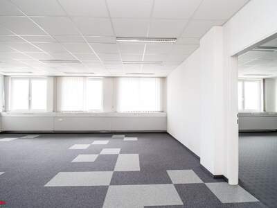 Gewerbeobjekt mieten in 4600 Thalheim (Bild 2)